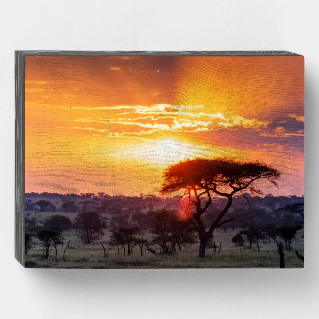 Safari in the Serengeti National Park Wooden Box Sign (Front Horizontal)