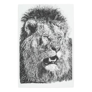 Safari Lion Head Hand Drawn Black White Wildlife Metal Print
