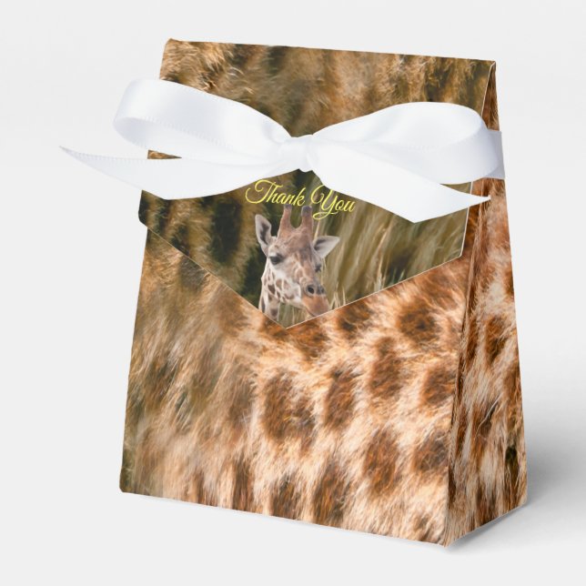Safari Outdoor Favor Boxes (Front Side)