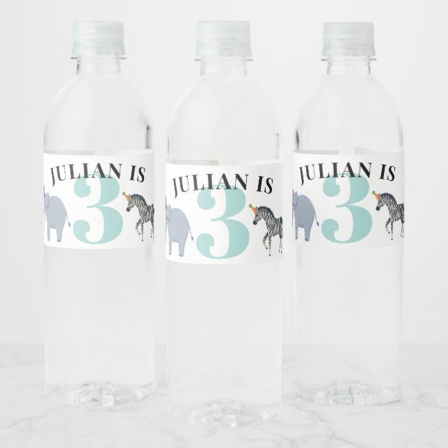 Safari Party Animals Train Birthday Name and Age Water Bottle Label (Bottles)