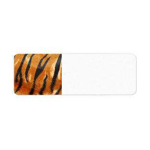 Safari Tiger Stripes Print Label