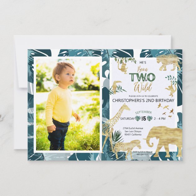 Two Wild Safari Backdrop – 7x5 Ft Jungle Animal Birthday Banner For 2nd Birthday Party, Baby Shower & Photo Booth Decor