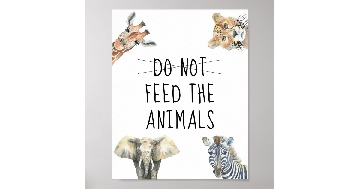 Safari wild animals - Don't FEED THE ANIMALS GAME Poster | Zazzle