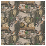 Safari