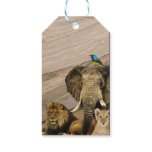 Safari