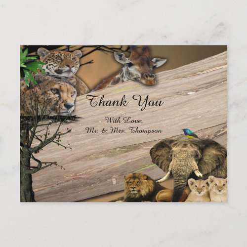 Safari  Wildlife Thank You Announcement Postcard