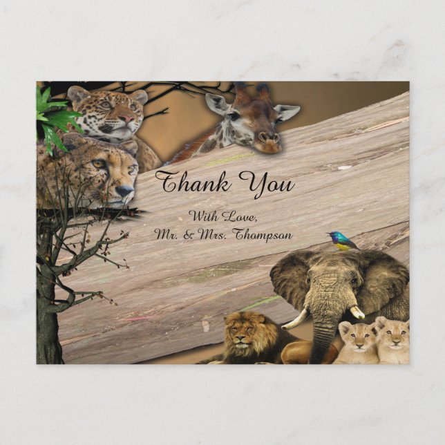 Safari  Wildlife Thank You Announcement Postcard (Front)