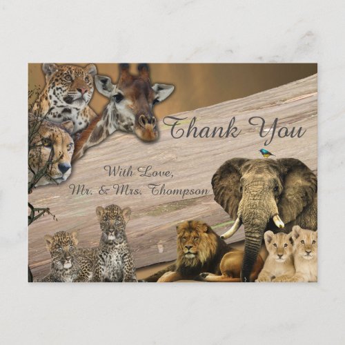 Safari Wildlife Thank You Announcement Postcard
