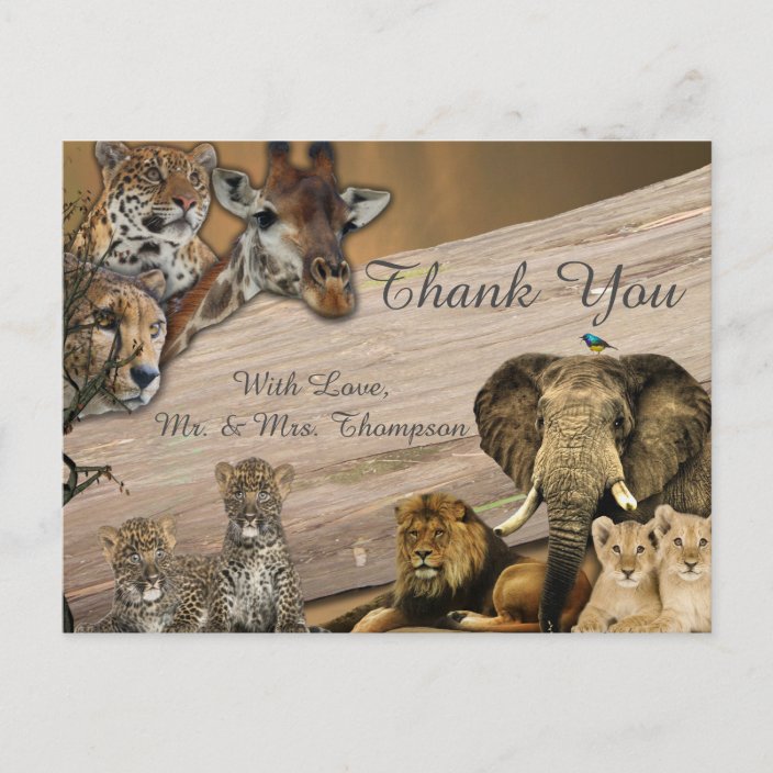 Safari Wildlife Thank You Announcement Postcard | Zazzle