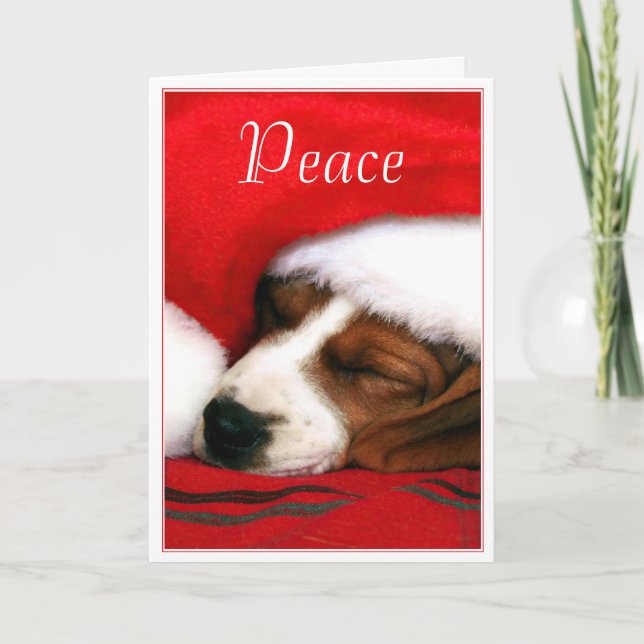 Safe And Peaceful Santa Puppy  Greeting Card - (Front)