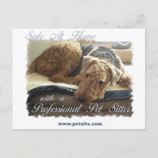 Safe At Home with a Professional Pet Sitter Postcard