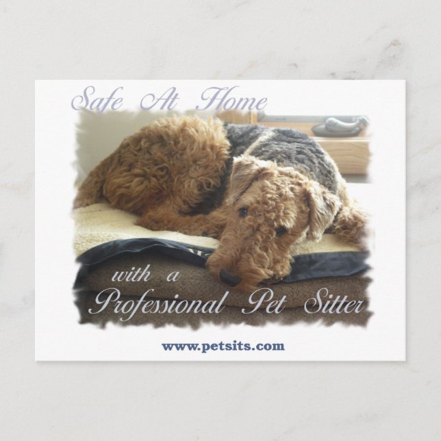 Safe At Home with a Professional Pet Sitter Postcard (Front)