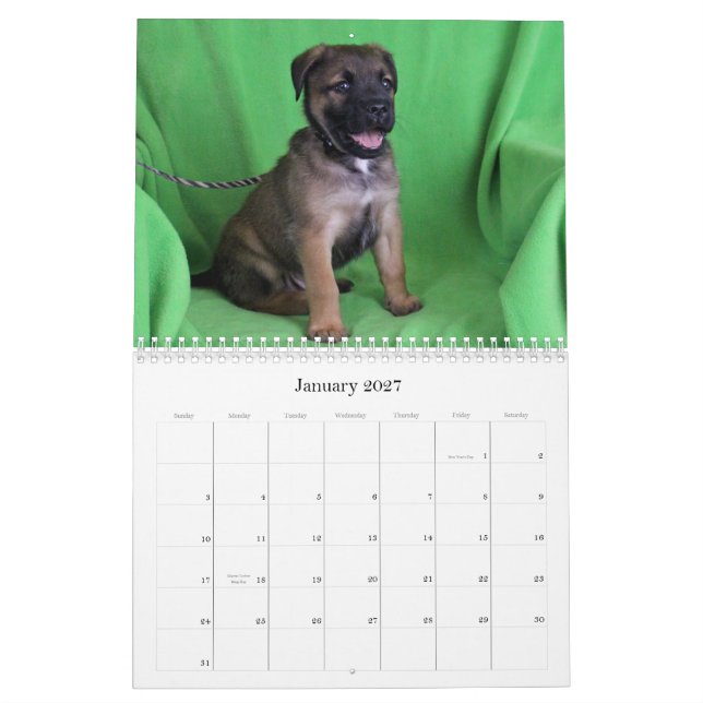 Safe Hands Rescue 2015 calendar (Jan 2027)