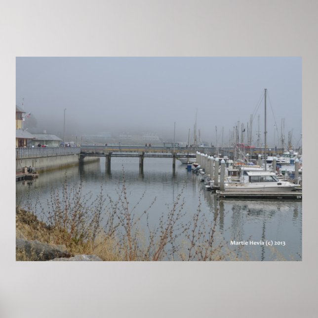 Safe Harbor Poster (Front)