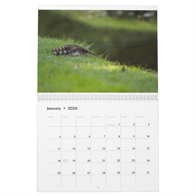 Safe Harbor Wildlife Calendar (Jan 2026)