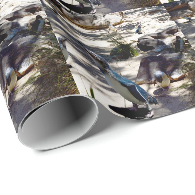 Safe Haven: Fairy Penguin Paradise, Wrapping Paper (Roll Corner)