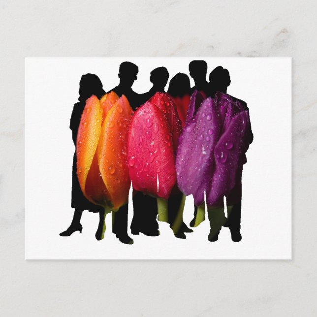 SAFE HAVEN POSTCARD (Front)