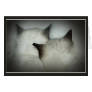 safe & sound cards