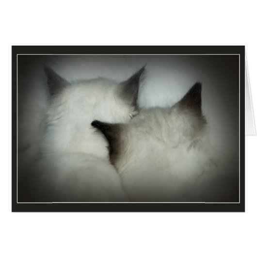 safe & sound cards (Front Horizontal)