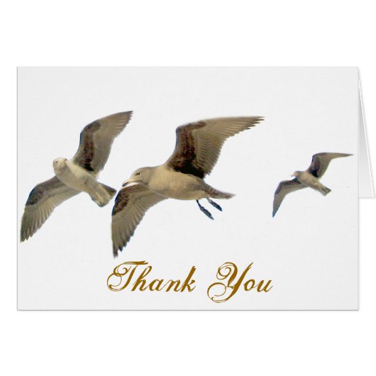 Safe Traveling_ (Front Horizontal)