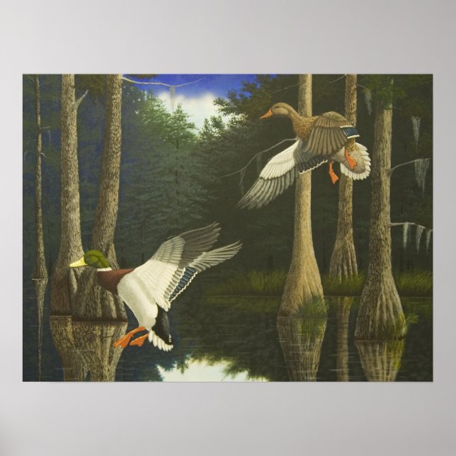 Safely Home Poster (Front)