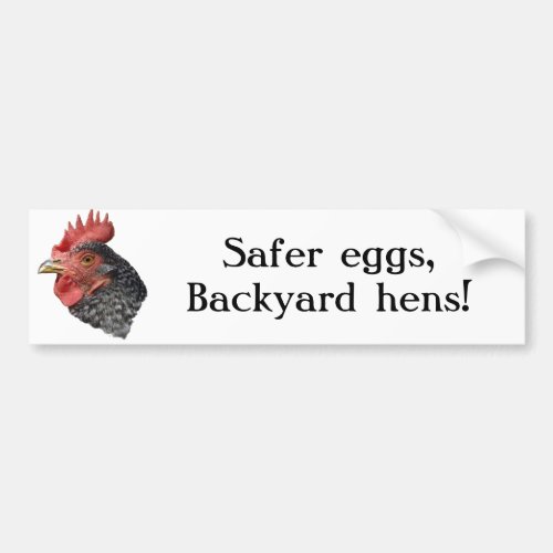 Safer eggs Backyard hens _ Bumper sticker
