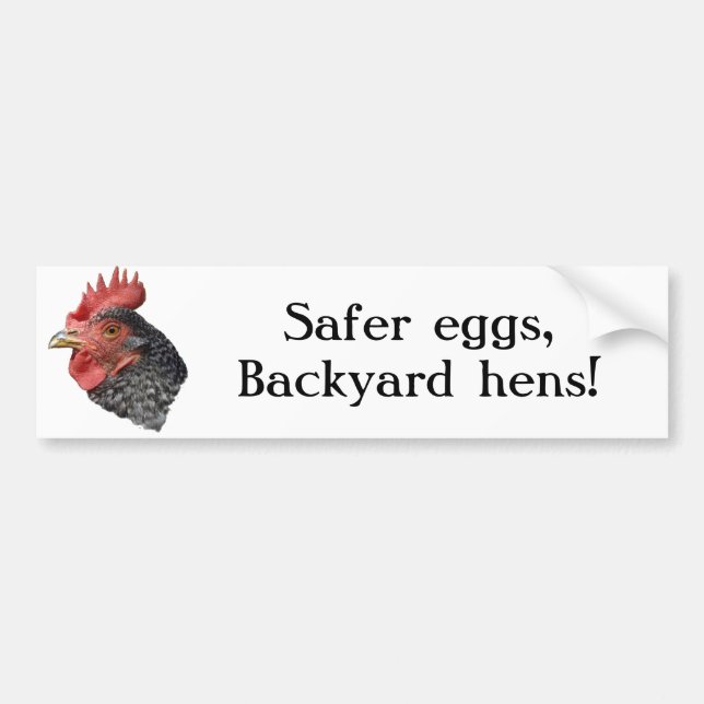 Safer eggs, Backyard hens! - Bumper sticker (Front)