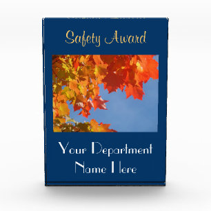 Safety Awards Departments Company Business