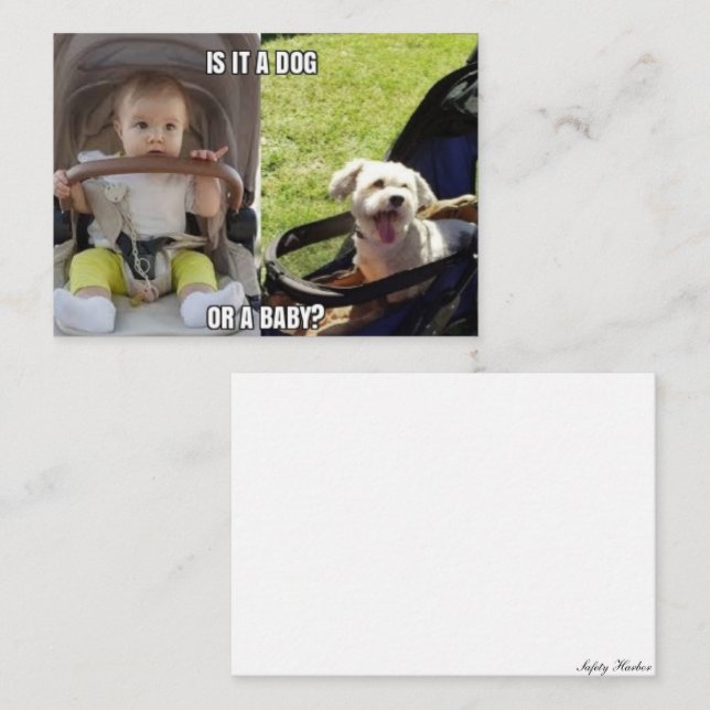 Safety Harbor Dog Baby Meme Joke Flat Note Card (Front/Back)