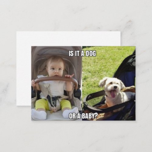 Safety Harbor Dog Baby Meme Joke Flat Note Card