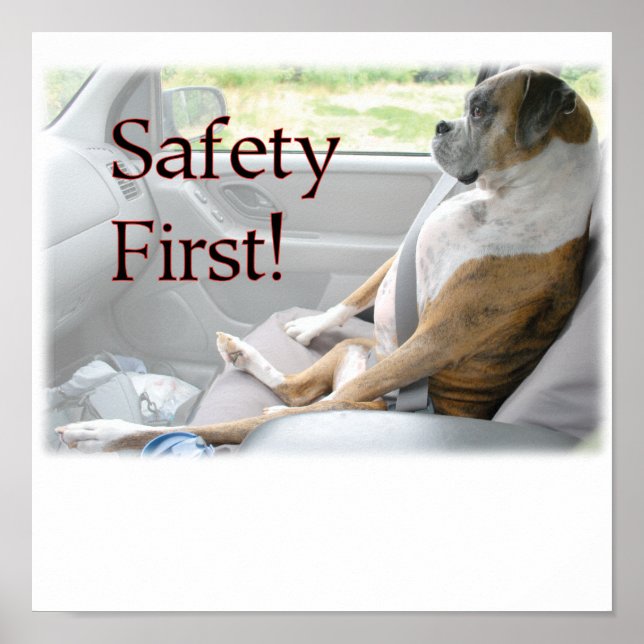 Safety Poster (Front)