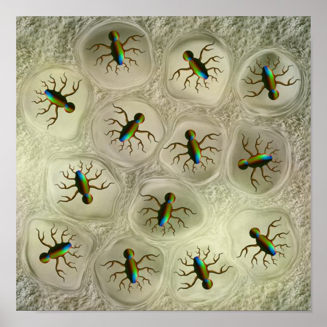 Safety Poster (Front)