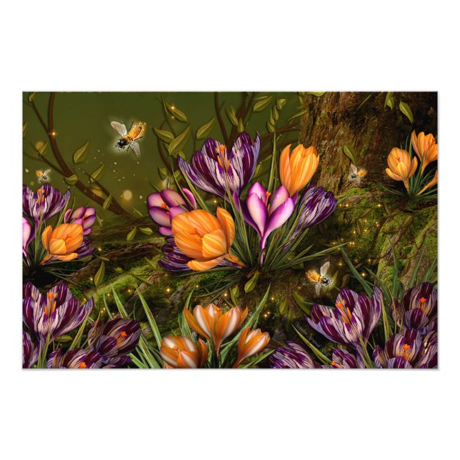 Saffron Crocus Photo Print (Front)