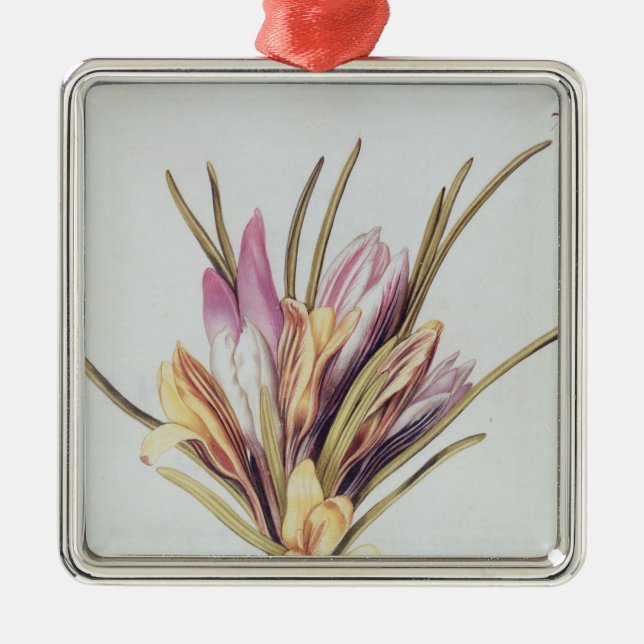 Saffron or Crocus, from 'La Guirlande de Julie' Metal Ornament (Front)