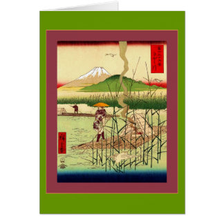 Sagami River Cards