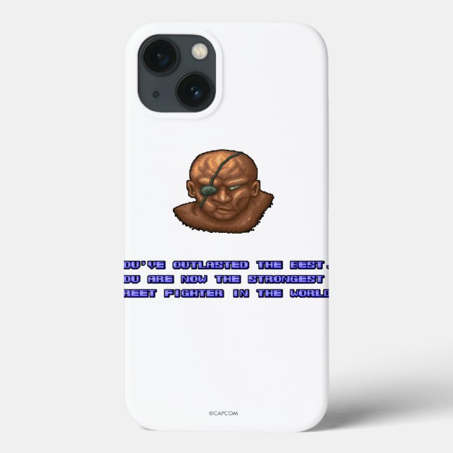 Sagat KO'ed 2 Case-Mate iPhone Case (Back)
