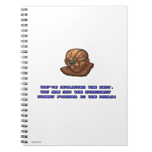 Sagat KO'ed 2 Notebook