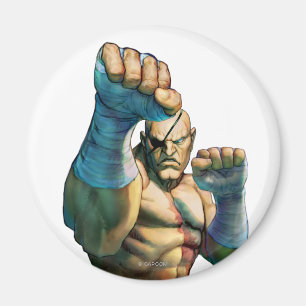 Sagat Ready to Block Magnet