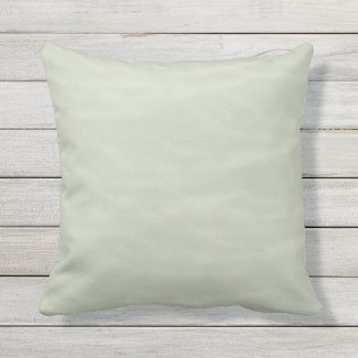 Sage and Cream Marbled Outdoor Pillow 16x16