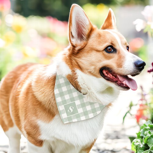 Sage And White Diagonal Buffalo Plaid Monogram Pet Bandana Collar