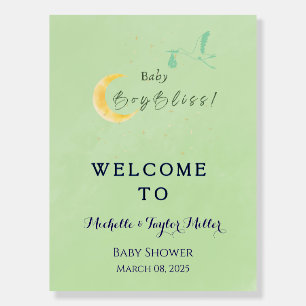 Sage Baby Boy Bliss Stork Special Delivery  Foam Board
