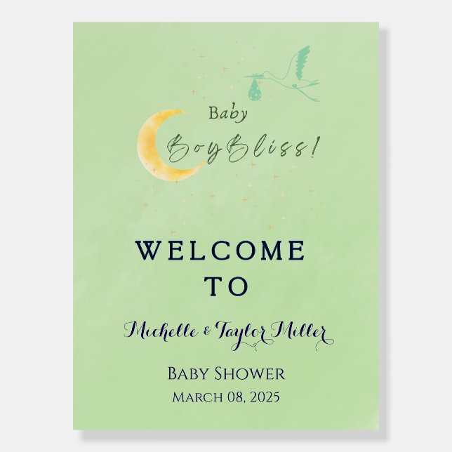 Sage Baby Boy Bliss Stork Special Delivery  Foam Board (Front)