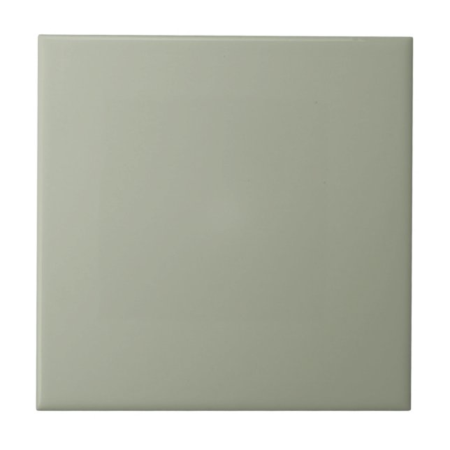 Sage Clary Green Square Kitchen and Bathroom Ceramic Tile (Front)