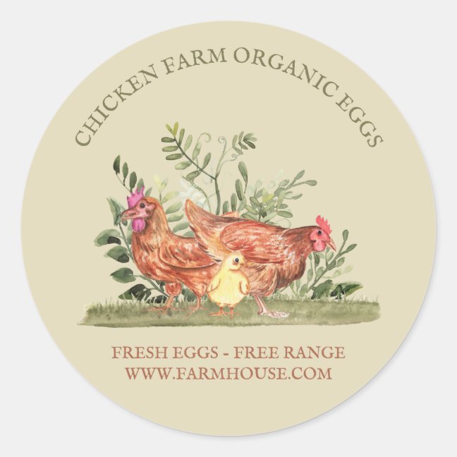 Sage Cream Chicken Farm Fresh Eggs Classic Round Sticker