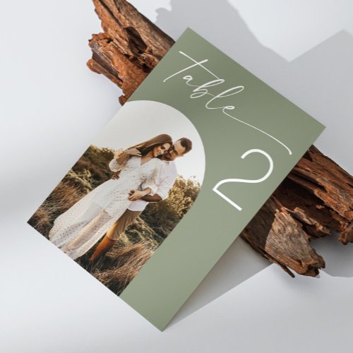 Sage green elegant minimalist arch photo wedding table number