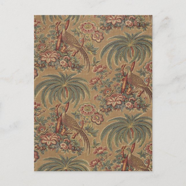 Sage Green Exotic Bird Palm Botanical Pattern Postcard (Front)