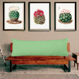 Sage Green light muted solid color pillow