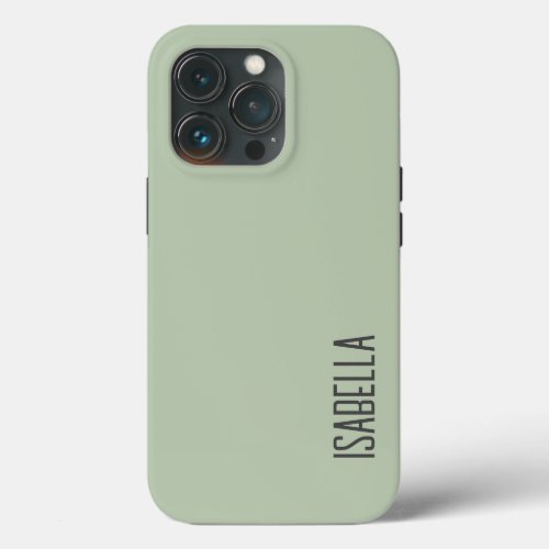 Sage Green Modern Minimalist Name Elegant iPhone 13 Pro Case