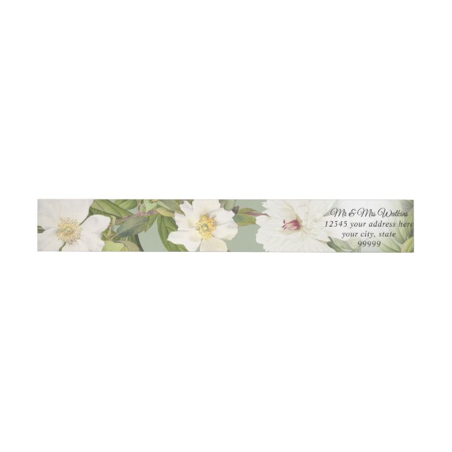 Sage Green n White Vintage Botanical Floral Peony Wrap Around Label (Individual)