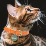 Sage Green Pet ID Tag<br><div class="desc">Sage Green</div>